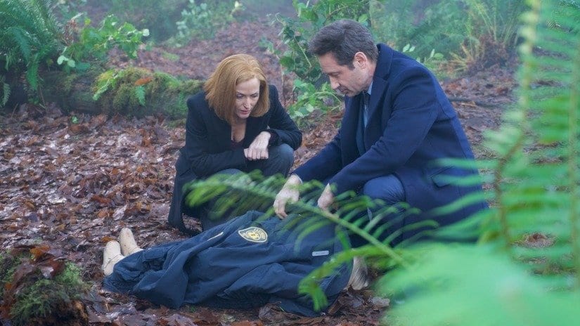 Mulder and Scully find the body of a child in the woods