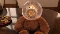 A stuffed bear has a translucent sphere with a face drawn on it for a head