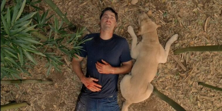 Jack dies in the jungle with Vincent at his side in the Lost series finale