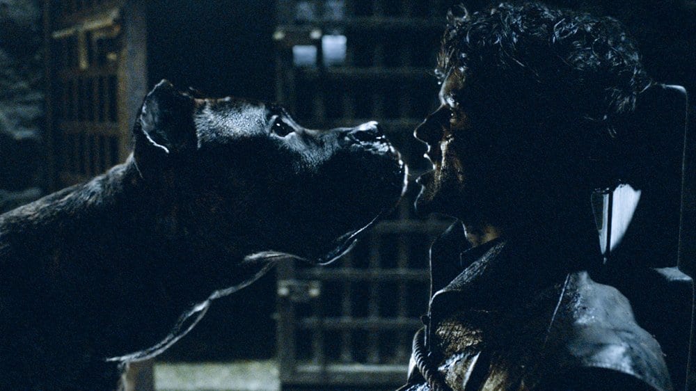 Ramsay Bolton (Iwan Rheon) is fed to his hounds by Sansa Stark (Sophie Turner) after losing the 