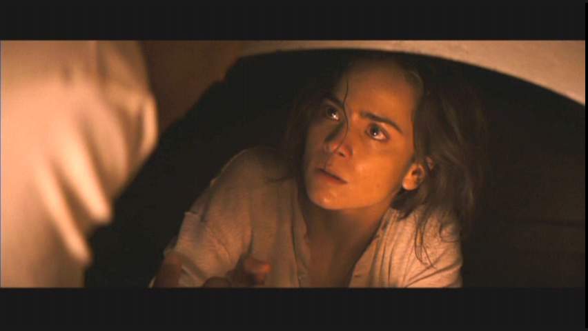 Alice Braga starred opposite Will Smith in I Am Legend (2007).