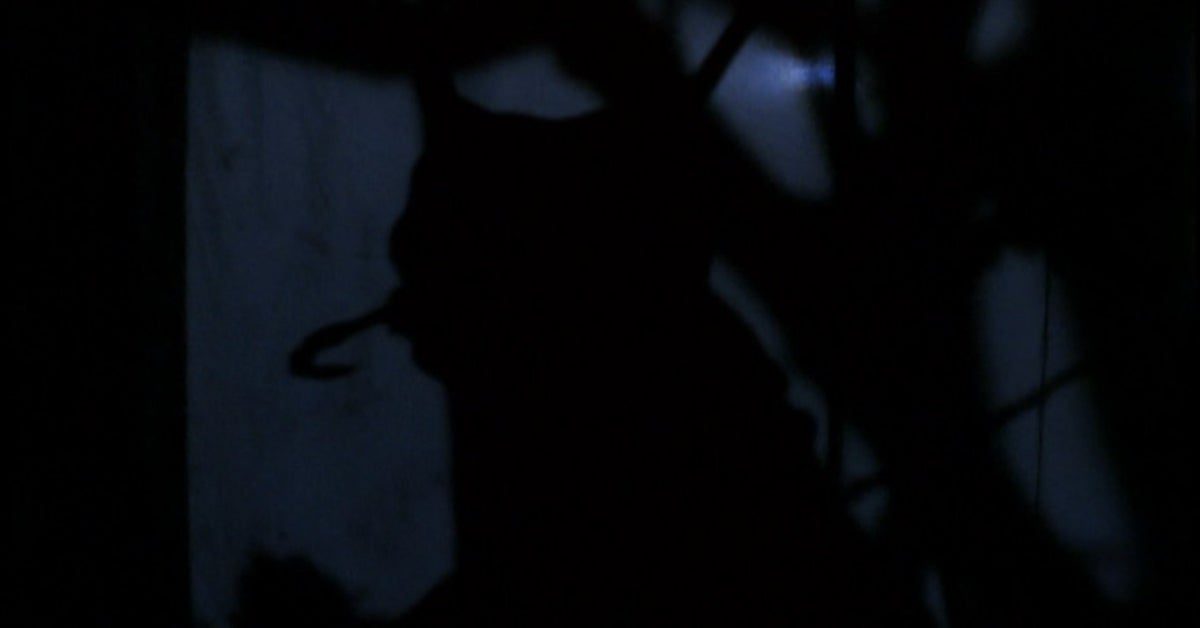 A silhouette of the insect monster is seen visible among other shadows.