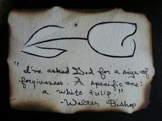 A burned piece of paper with a message about a white tulip inscribed on it.