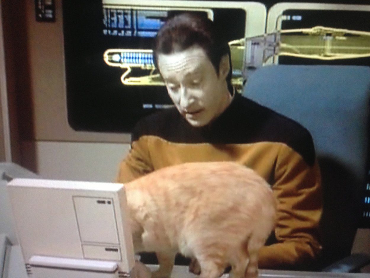 Data with his cat