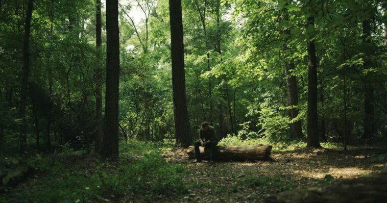 Jack sits on a log in the woods