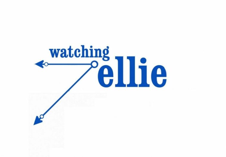 Watching Ellie was the first show of Julia Louis-Dreyfus after Seinfeld
