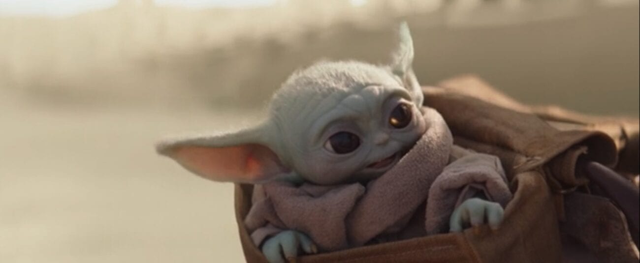 The Child (Baby Yoda) enjoys a speeder bike ride, while sitting in his pouch