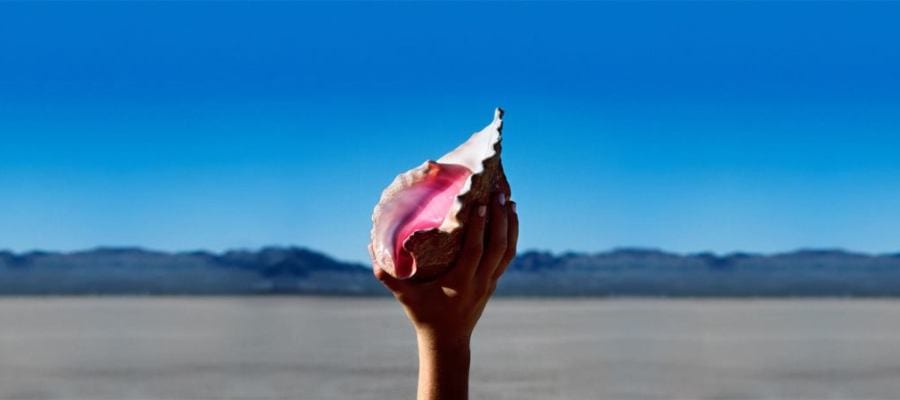 a hand with white painted nails holds up a shell with the beach in the background