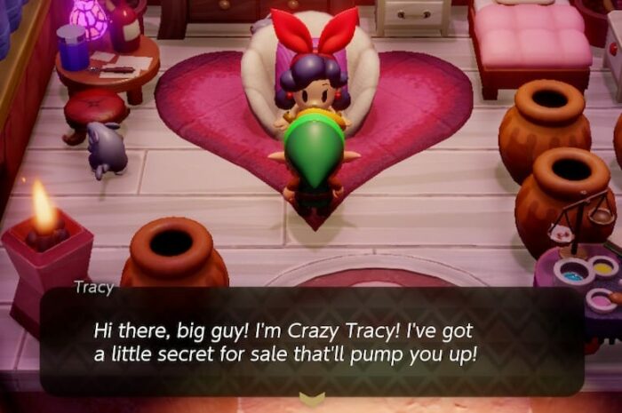 Link meets Crazy Tracy, a magical healer.