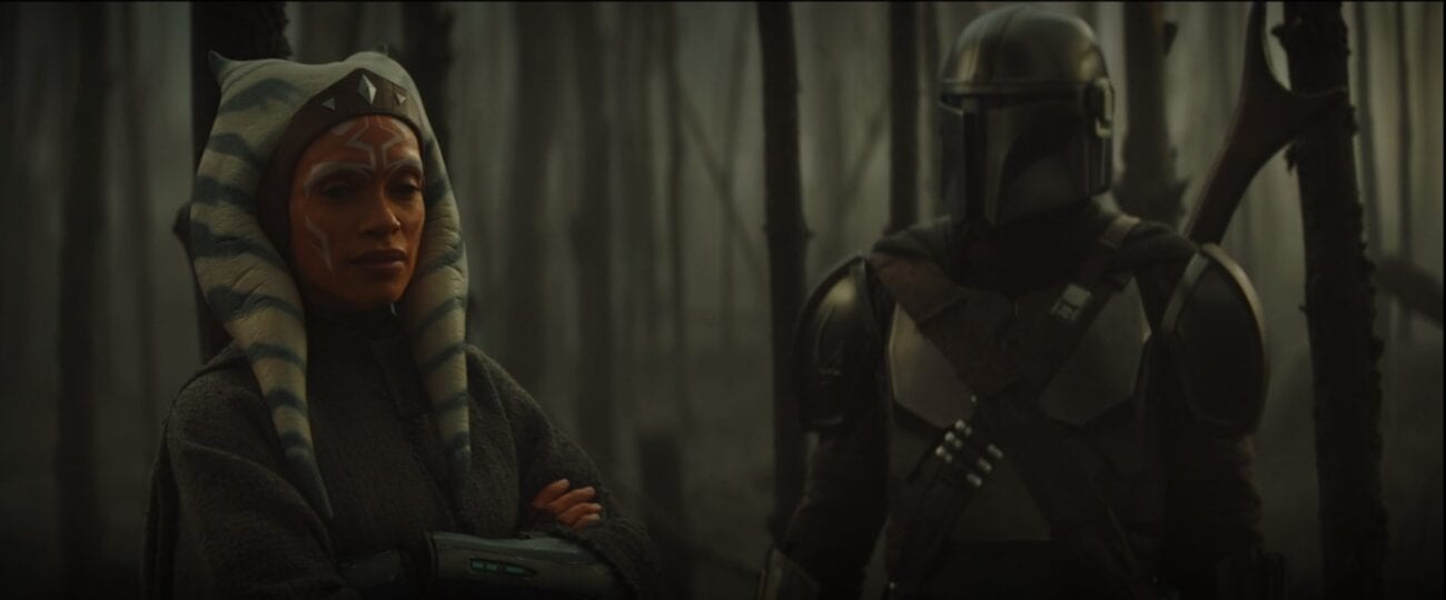 Mando and Ahsoka stand in a burned forest, discussing The Child's future