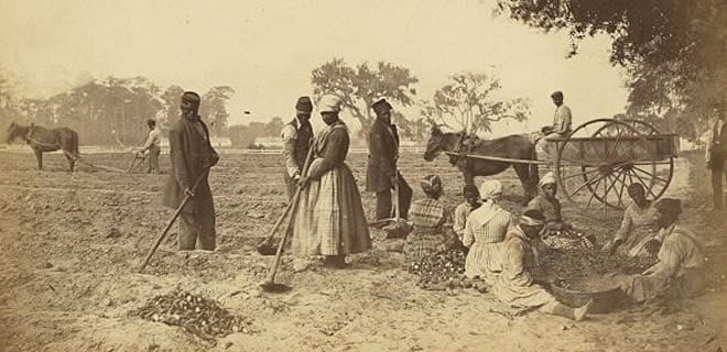 A sepia-toned photograph of a plantation with a horse-drawn plow on the right in the background. Three enslaved men and one enslaved woman are tillling the soil in the center, an enslaved man drives a wagon, and several other enslaved people are seated to the right going through some bushels