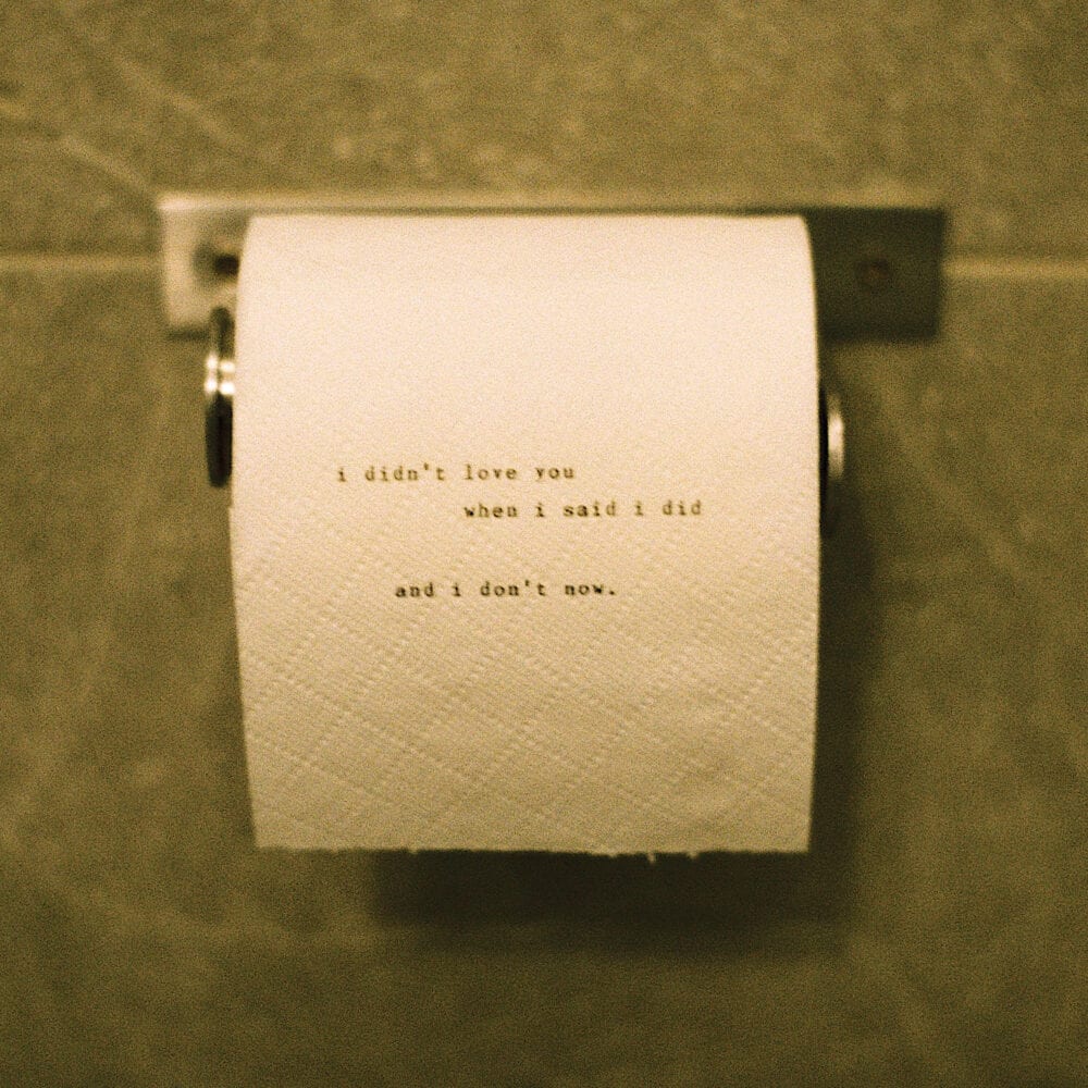 A roll of toilet paper on the wall with the words "i didn't love you when i said i did and i don't now" written on it in small text, fully lowercase