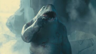 king shark looks up while feasting on a snack