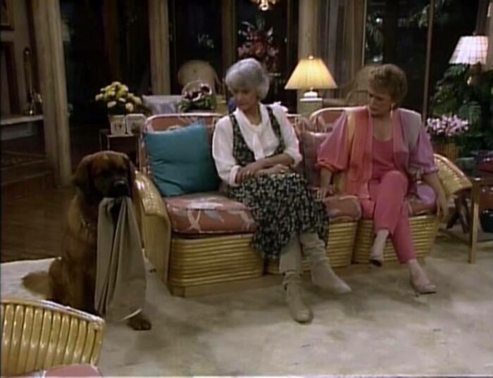 Dorothy and Blanche sit on the couch, looking at Dreyfus the dog, who has a pair of mens' pants in his mouth