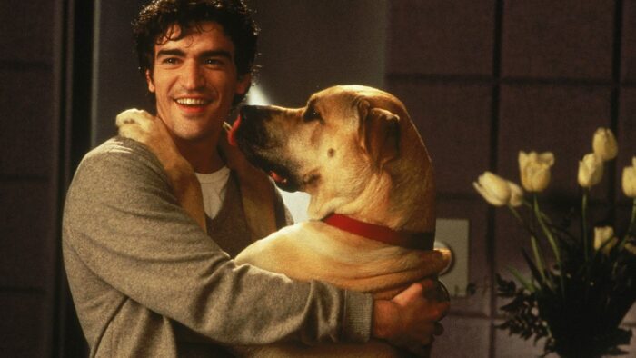 Ben Chaplin is grinning and hugging a Great Dane, who is licking his face
