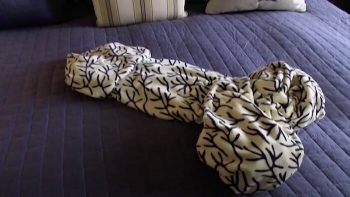 penis shaped blanket