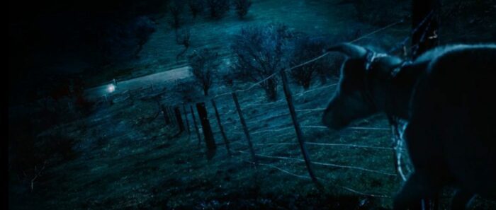 A goat is stuck to a fence in the middle of the night