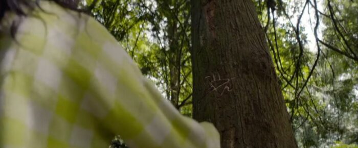 Lottie looks at the symbol carved into a tree