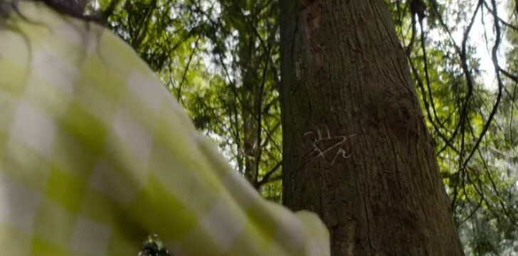 Lottie looks at the symbol carved into a tree in the woods