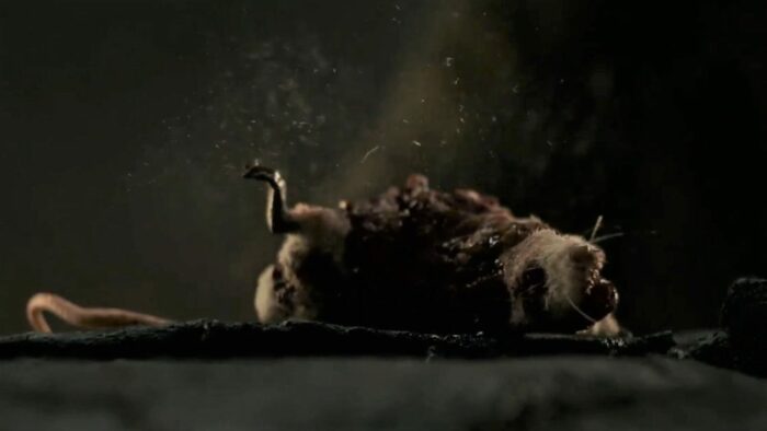 Raised by Wolves S2E4 - Close up on Mouse, lying on his back, his body disintegrating with dust particles in the air