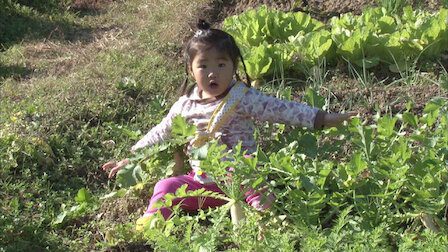 A young Japanese girl sits in a patch of leafy green vegetables, looking bewildered.