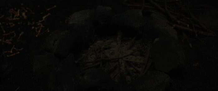 A fire pit and some small bones