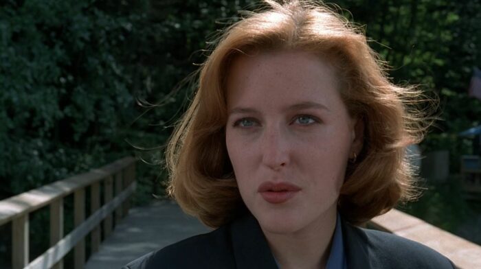 Scully stands on a bridge
