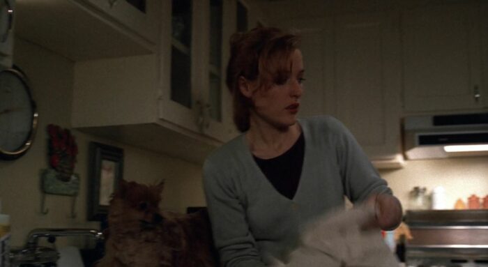 Scully in her kitchen, with Queequeg in the sink getting a dog bath